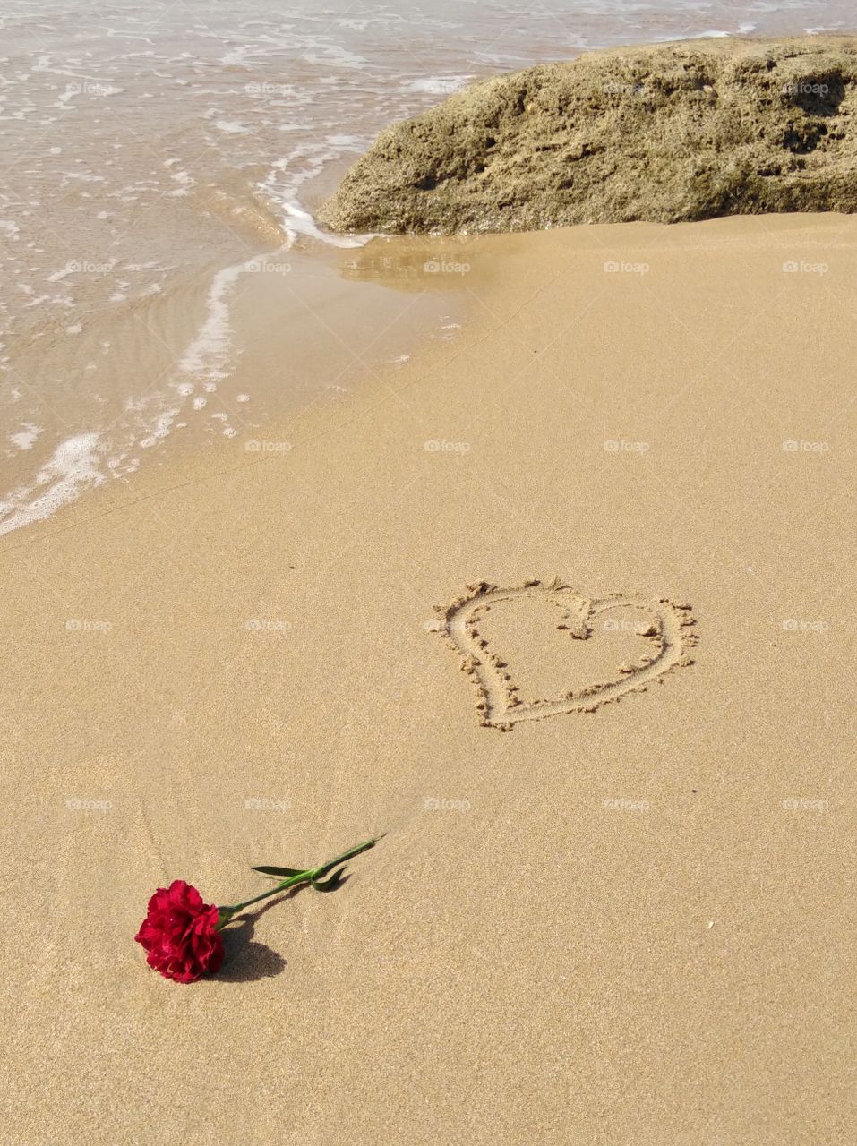 Herz, Heart, Andalusien, Strand, Beach, Flower on beach