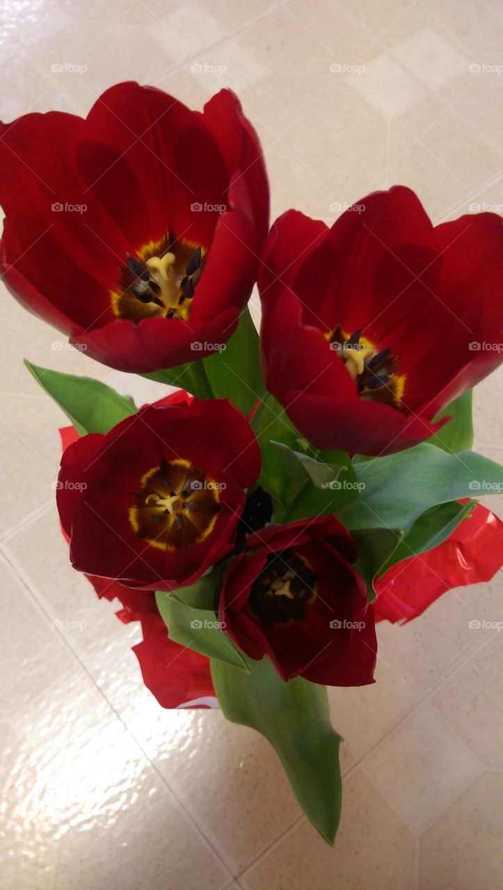 The Beautiful inside of Tulips