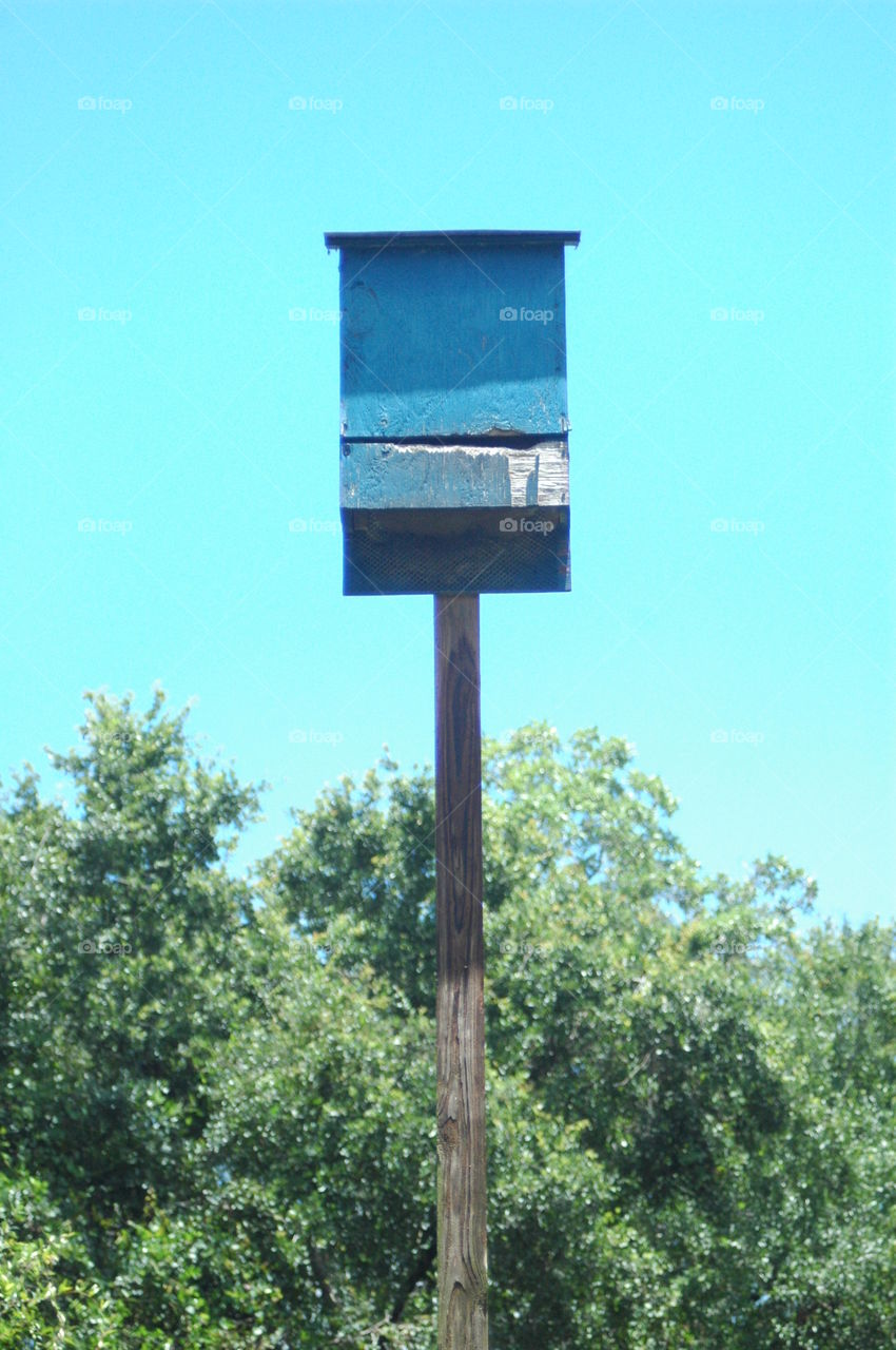 An old bat house 