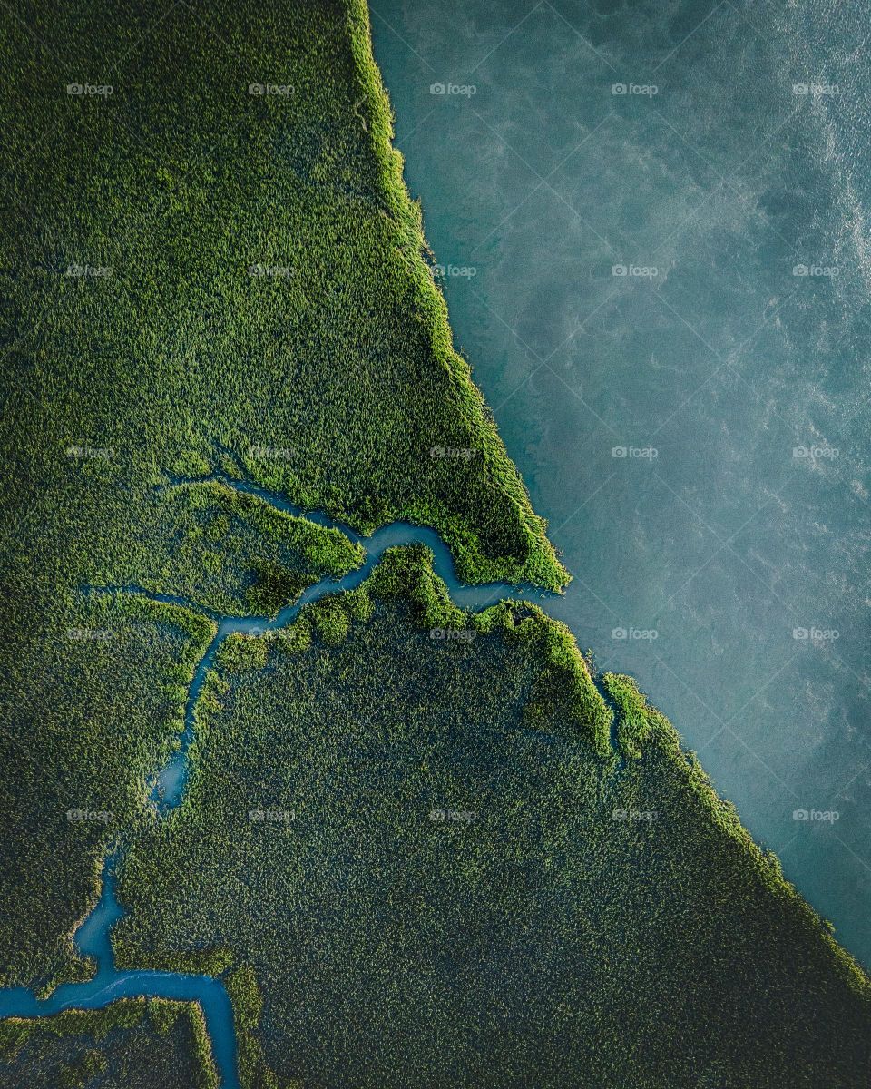 The beauty and natural things of the world