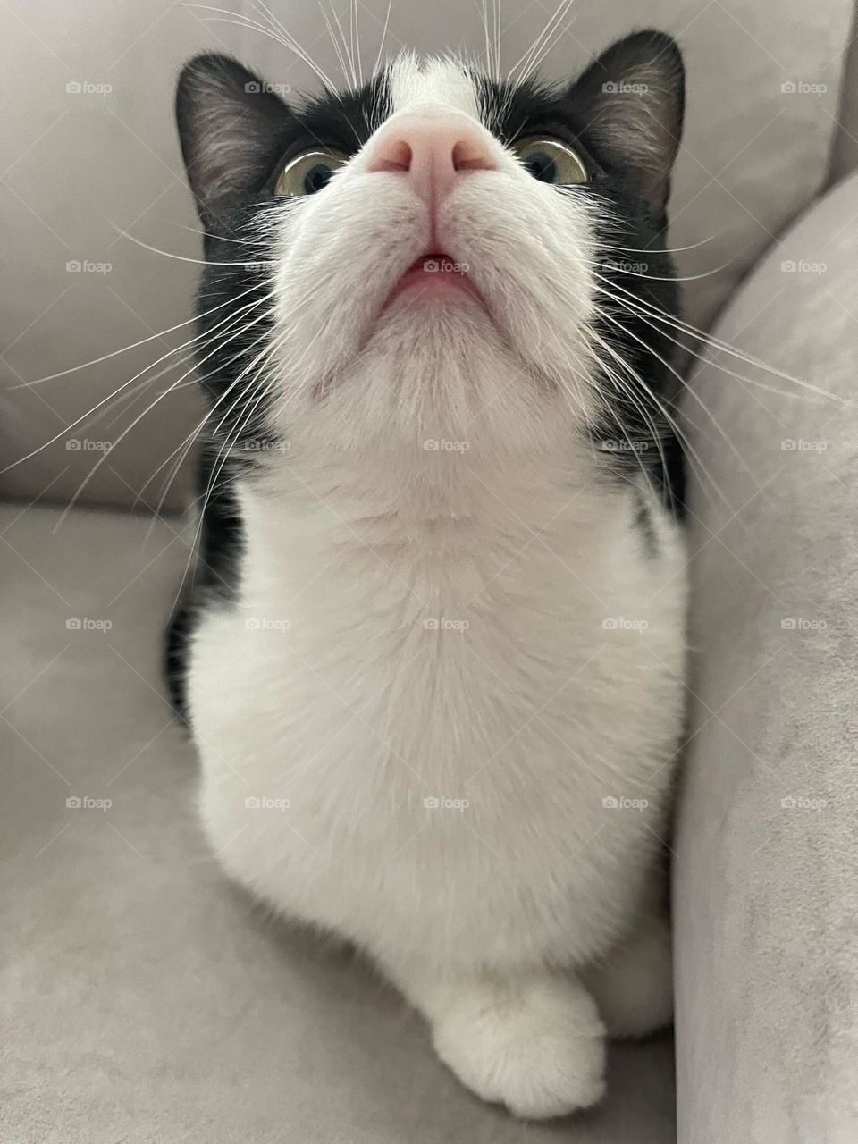 Los morritos de mi bebé