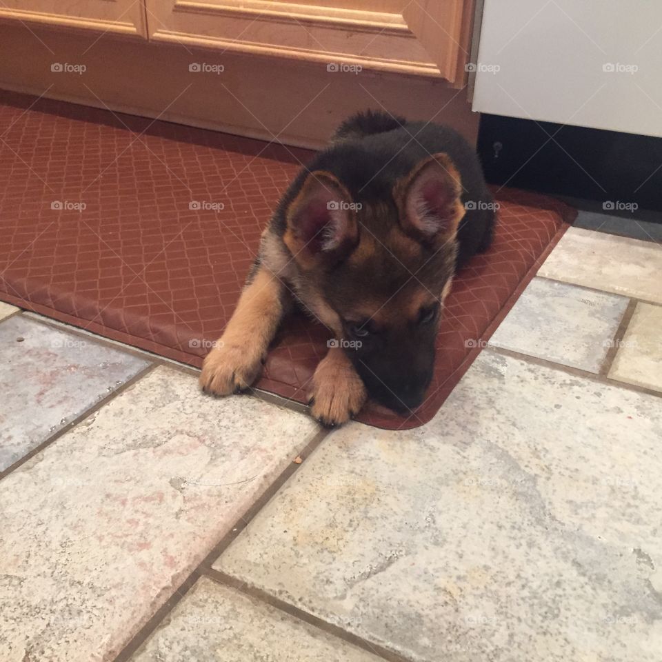 I'm about to do something bad