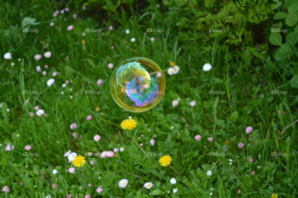 Close-up of bubble over grassy field