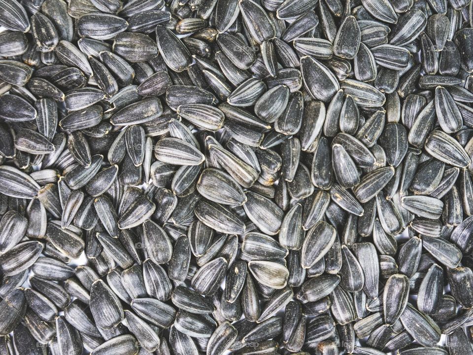 Sunflower seeds. The view from above