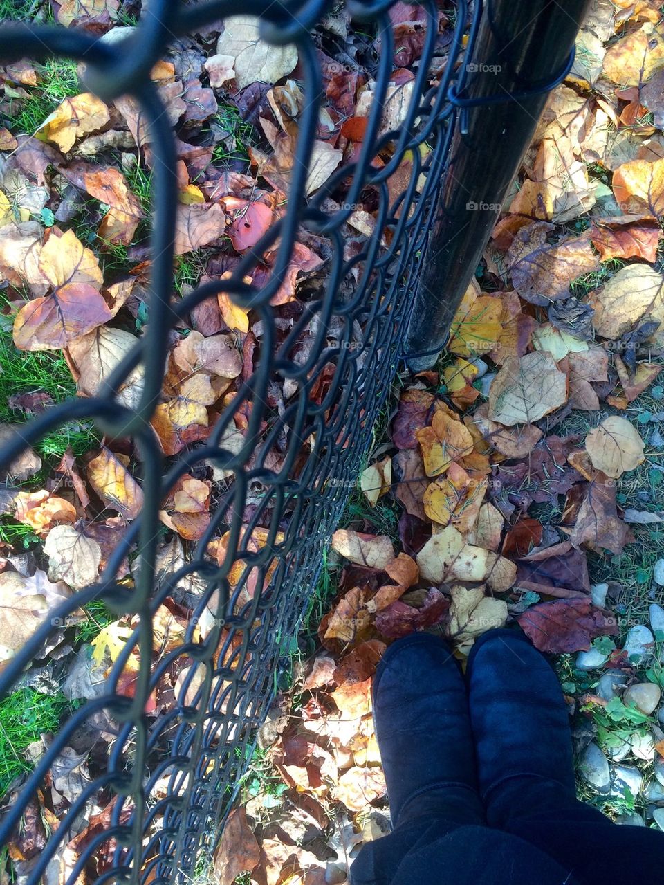 Uggs in leaves 