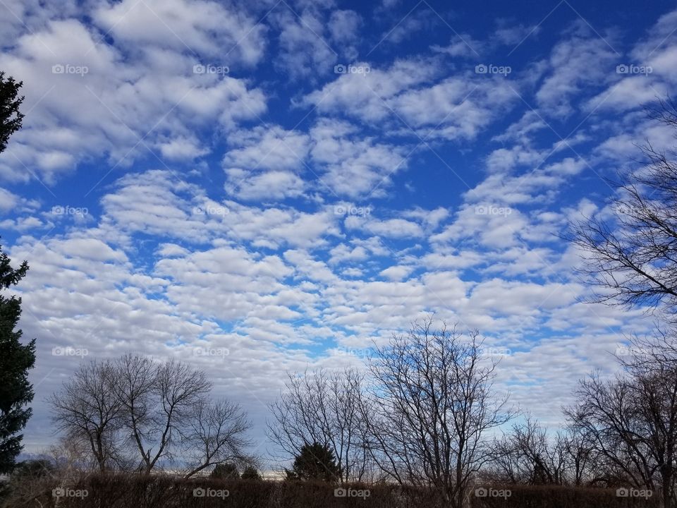 beautiful blue skies with white soft clouds that look like pillows to lay your head on.