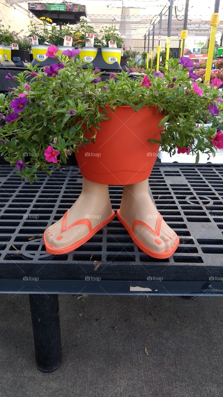 orange flip-flops and flowerpot