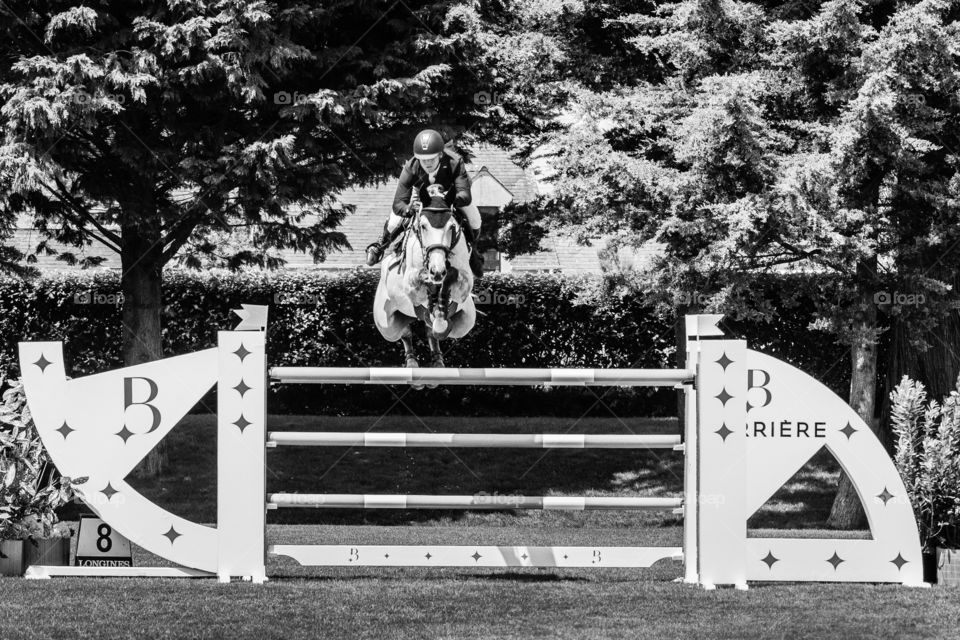 #LaBaule - Longines Jumping International de la Baule 2019. Copyright Christophe BONNET - #Agence73bis - Retrouvez mon actualité sur www.agence73bis.com
#jumpinglabaule #horse #cheval #showjumping #equine #equitation #equestrian #equestrians #equest