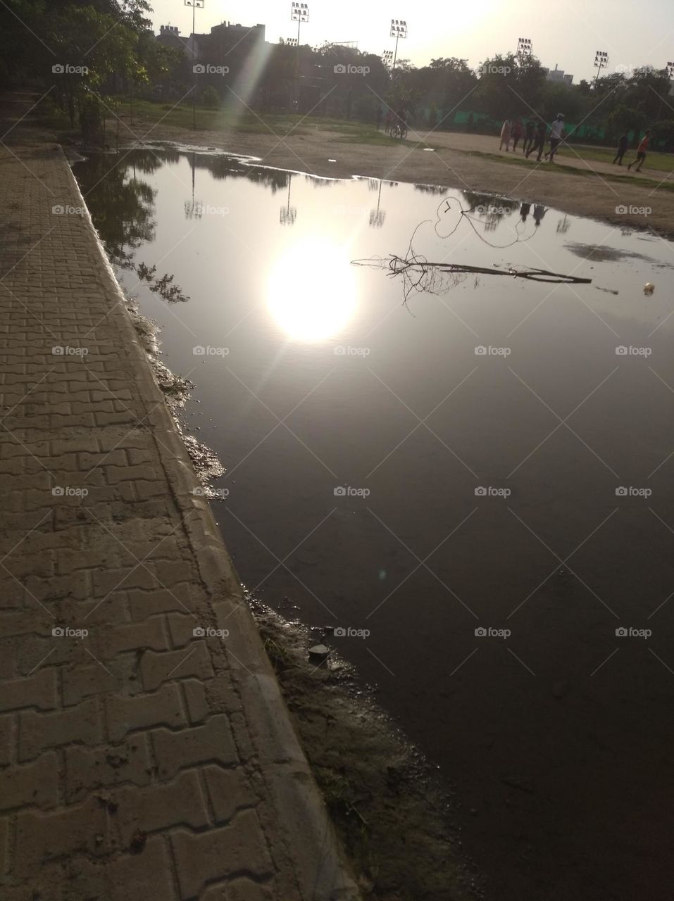 reflection in water sun image in water, green tree, sunlight looks very beautiful