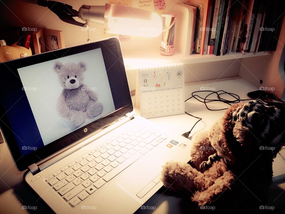 Friend online. Have you ever talk to someone online? Even a teddybear have a friend online hahaha