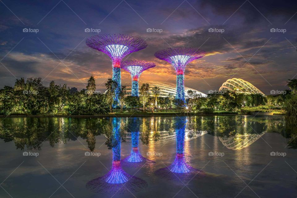 The night view of Gardens by the Bay in Singapore.