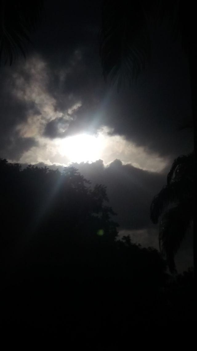 sun