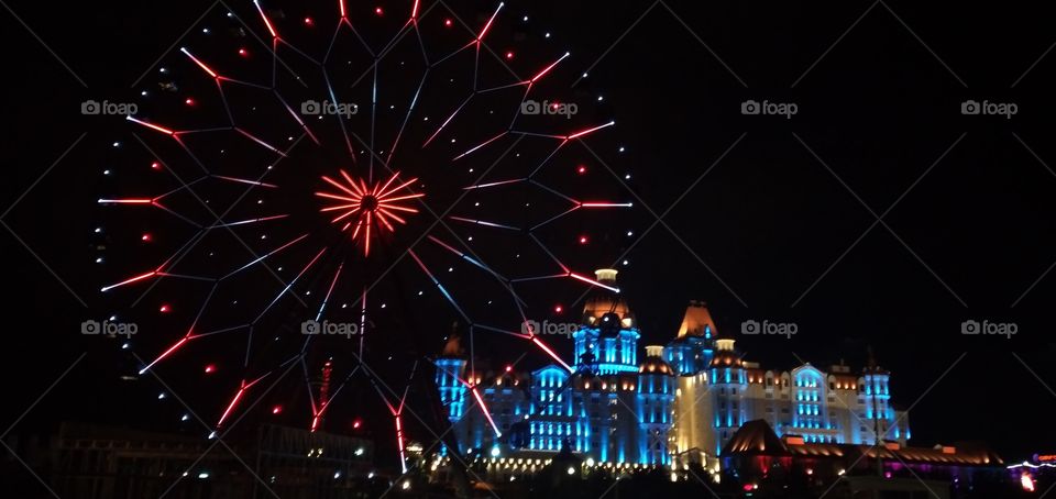 weel of observation,heart