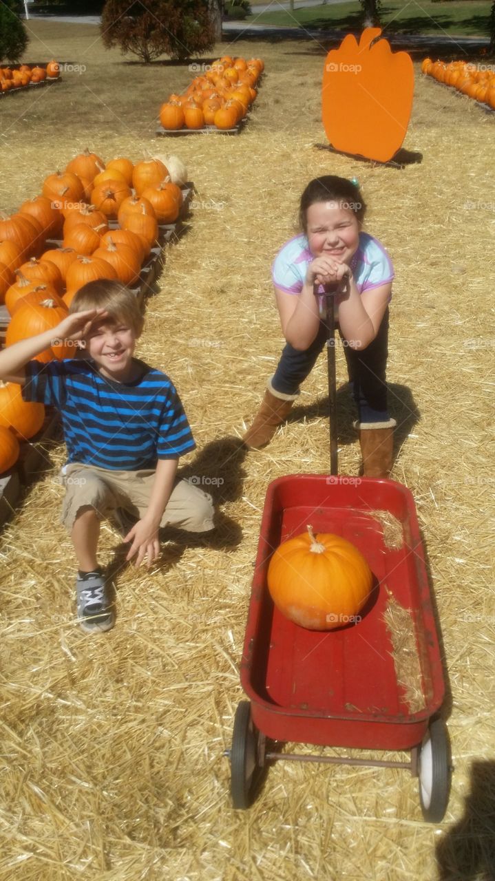 pumpkin patch