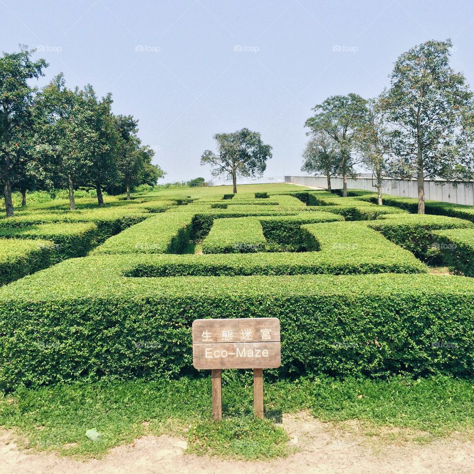 ECO Maze