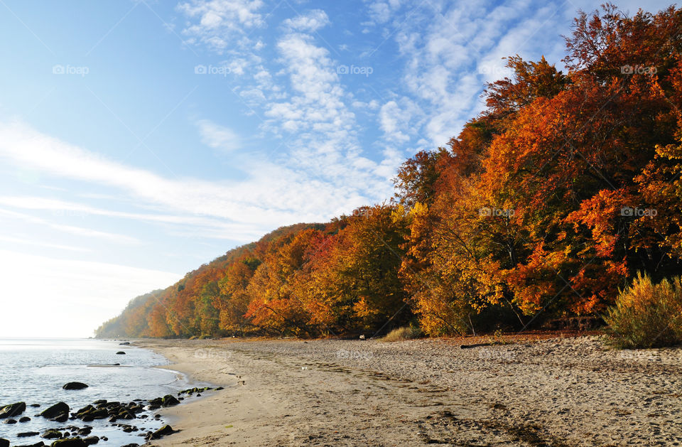 Baltic Sea Autumn beach 