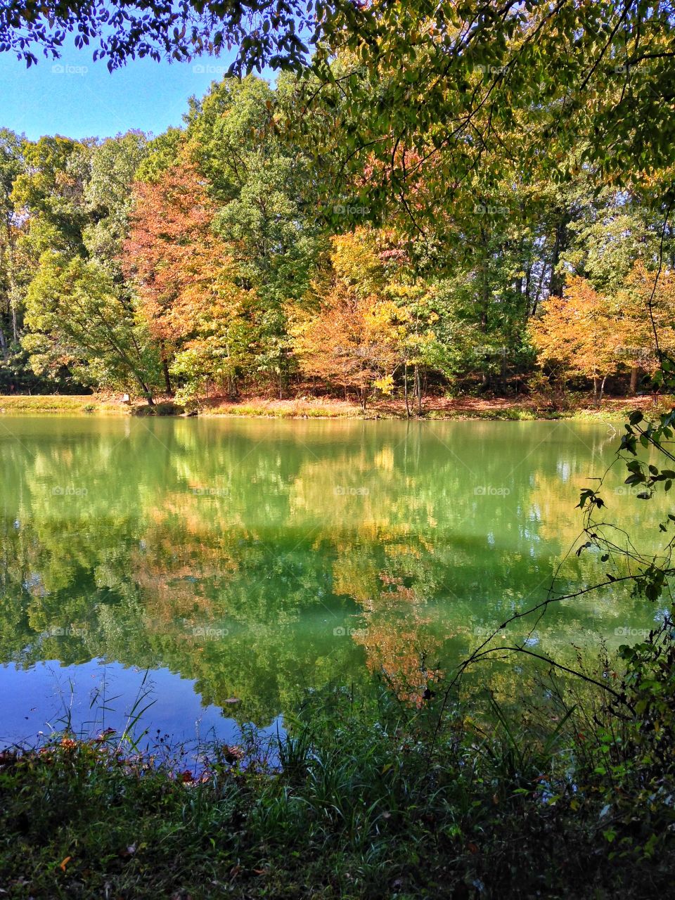 Beautiful painted fall lake