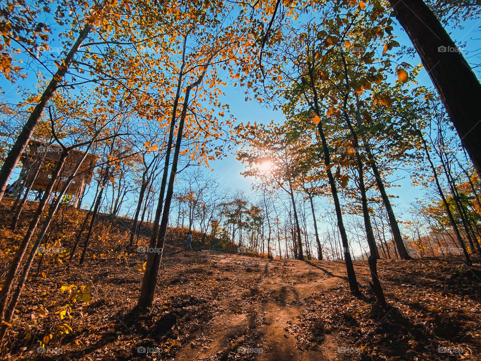 A tree with strong roots laughs at storms.