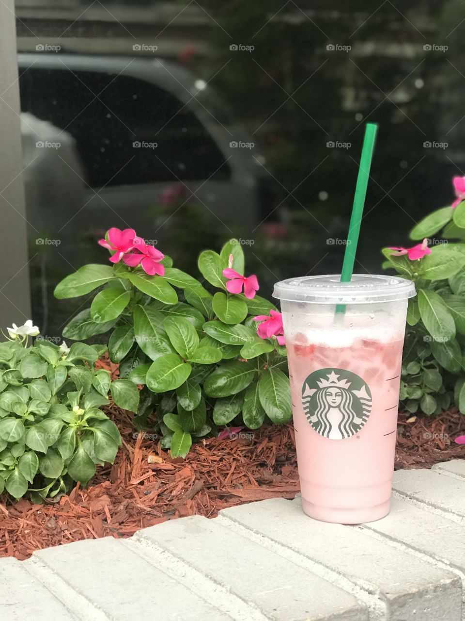 Quench your thirst this summer. Starbucks