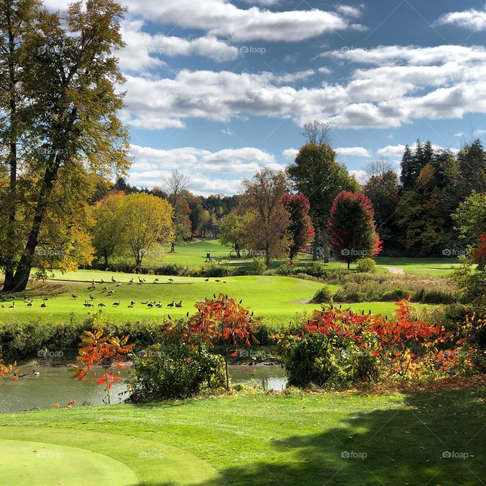Autumn walk in October, fall colours , beautiful scenery, birds walking , colourful and peaceful , Alliston Ontario 
