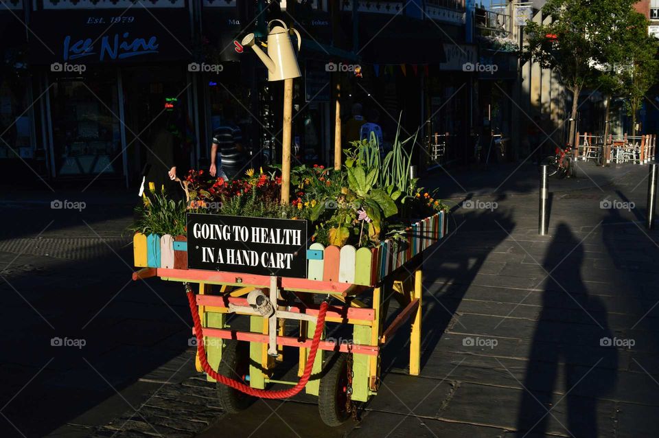 garden in the city centre