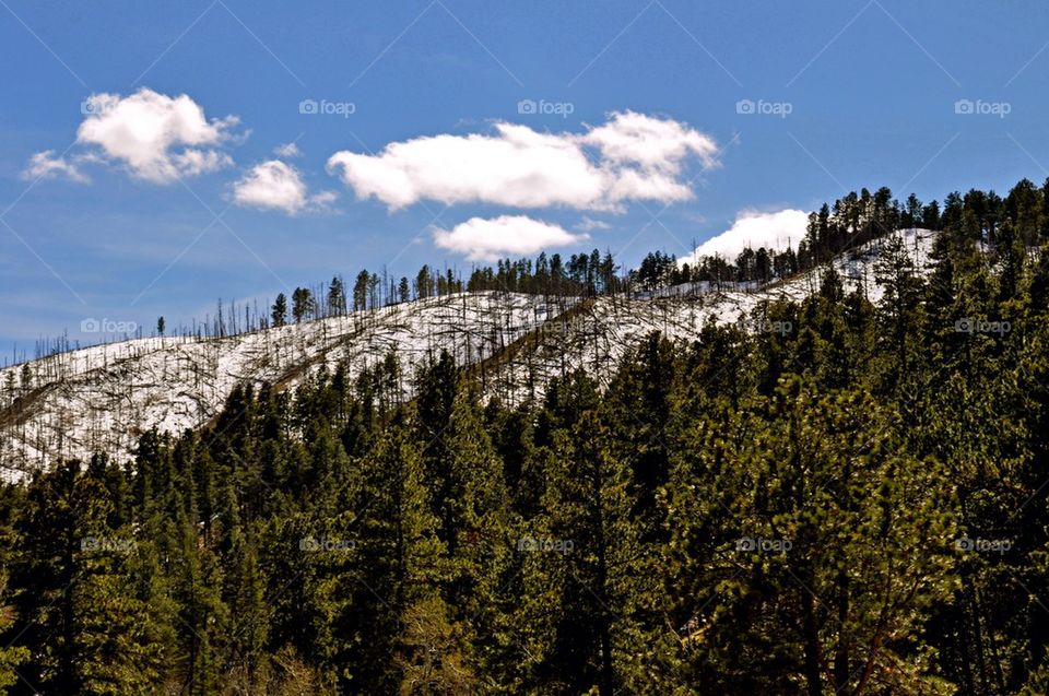 group1 black hills by refocusphoto