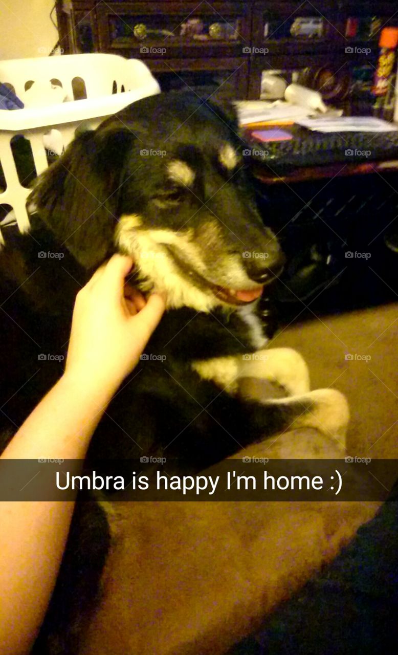 Umbra. pronounced "oom-brah", my baby girl was excited mom came back from out of town.