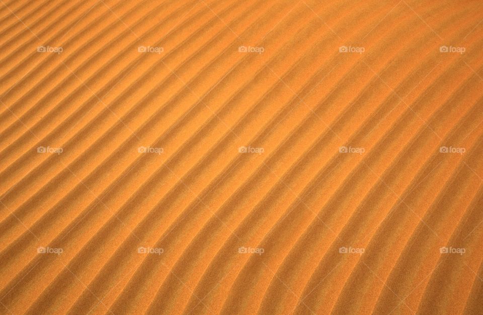 Symmetry lines at desert sand at Al Awir, Dubai