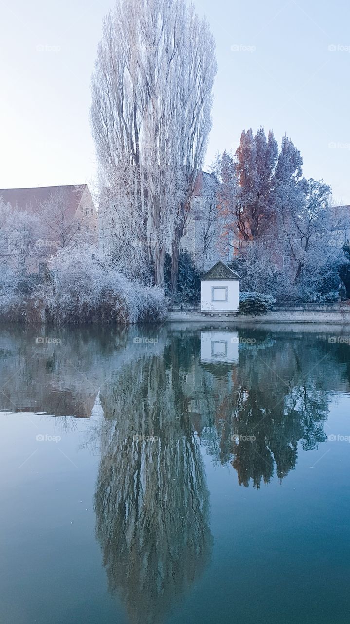 a calm morning of reflection