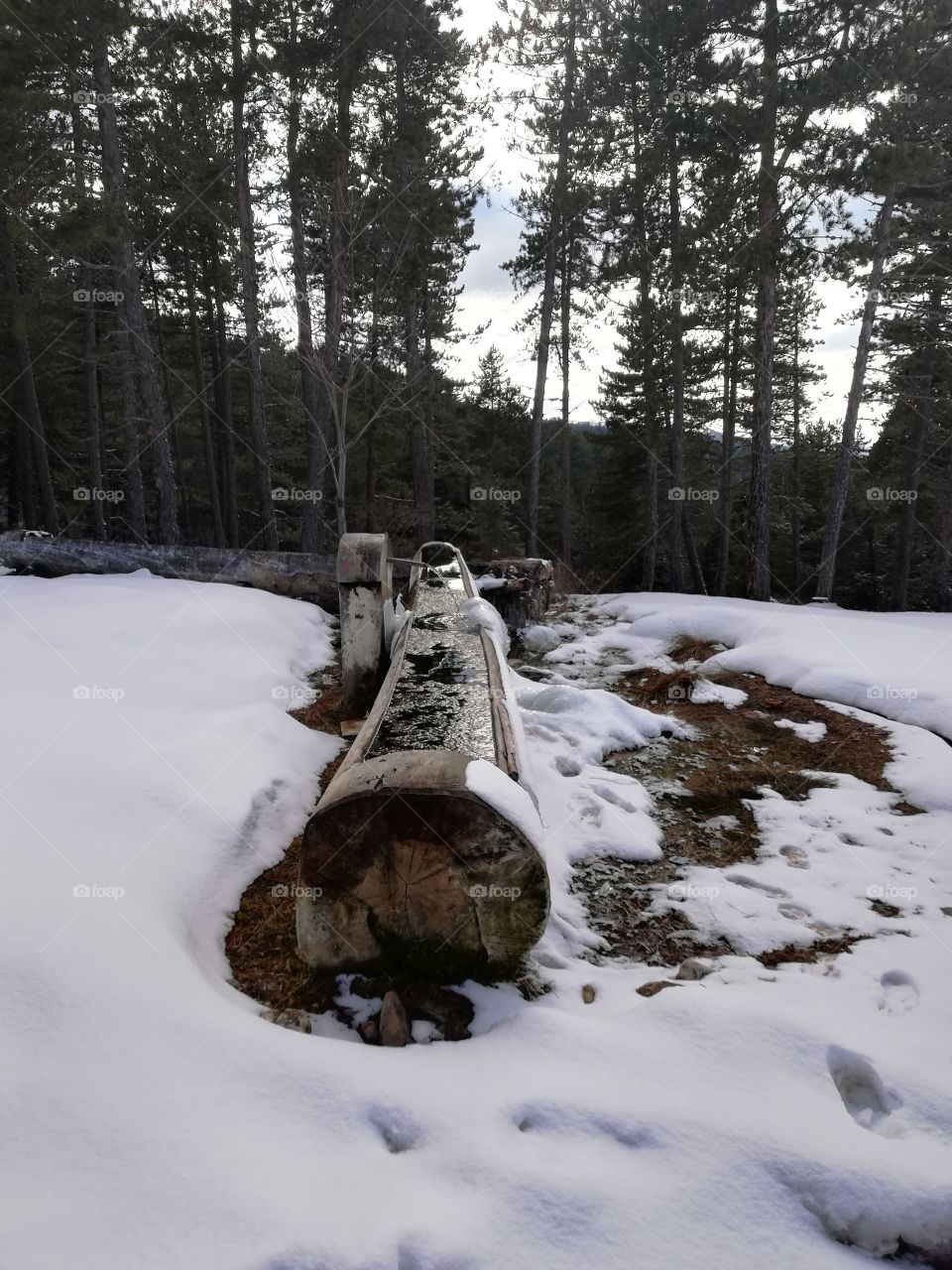 Nature do it better..