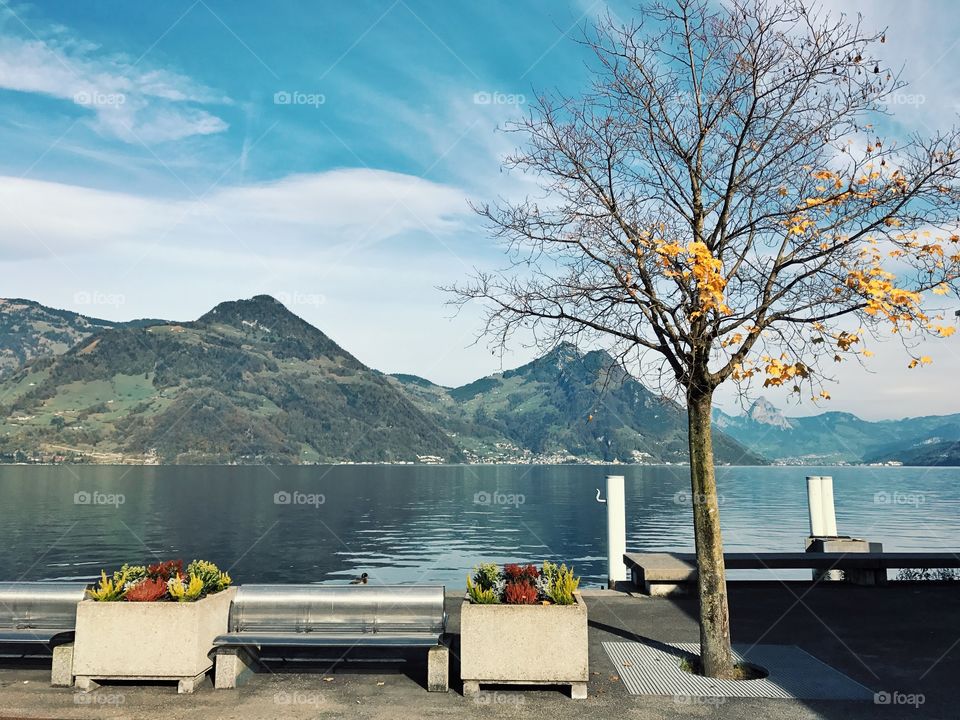 Bench next to a lake in Switzerland 