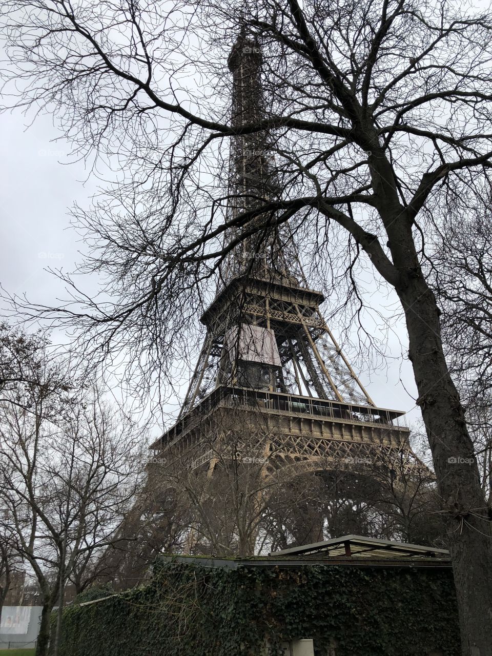 Eiffel Tower paris