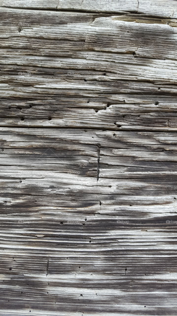 Shades of Gray on Old Log Cabin Wall