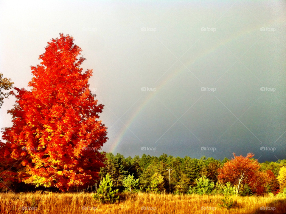 northern michigan tree clouds rainbow by serenitykennedy