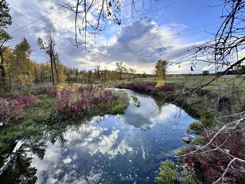 PRAIRE AUTUMN CREEK LANDSCAPE