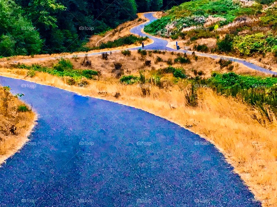 Not All Who Wander Are Lost