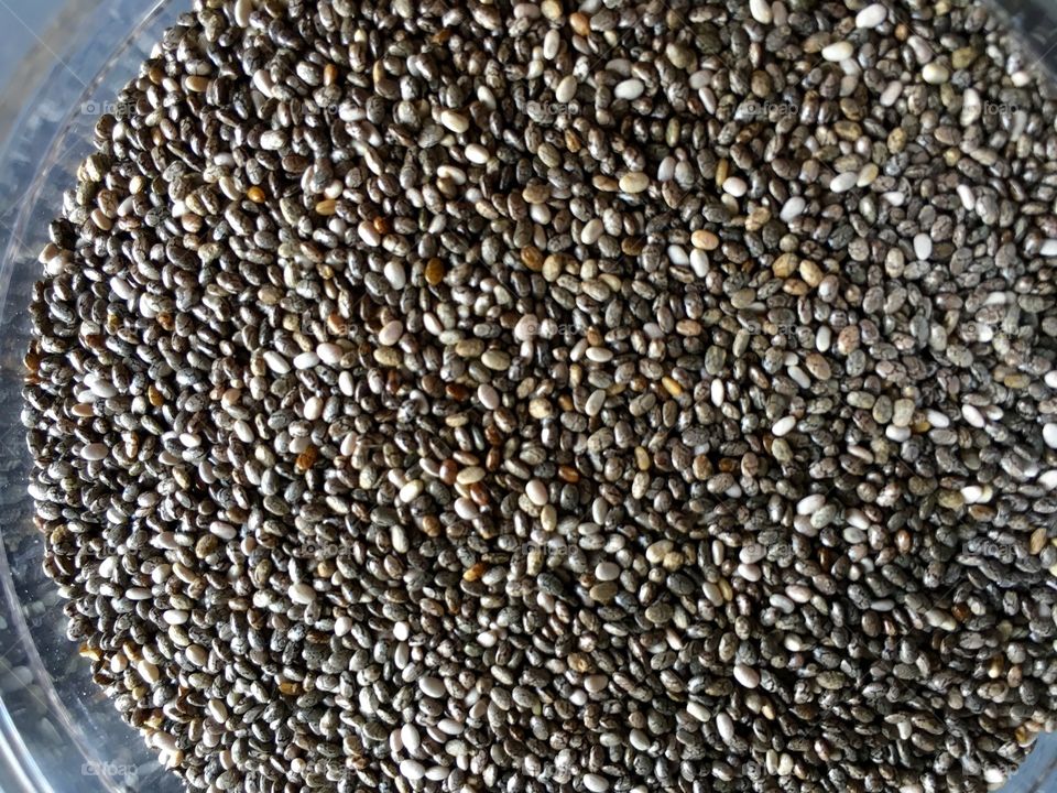 Chia seed 