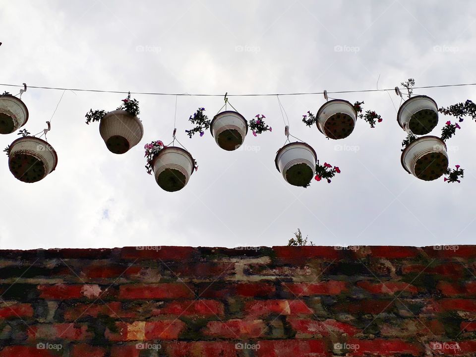 The hanging flower pots