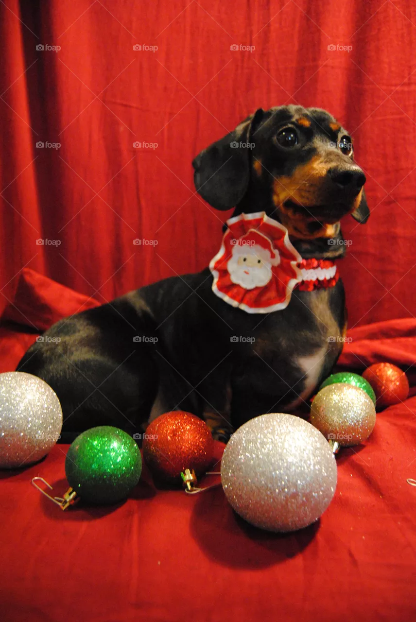 Xmas 