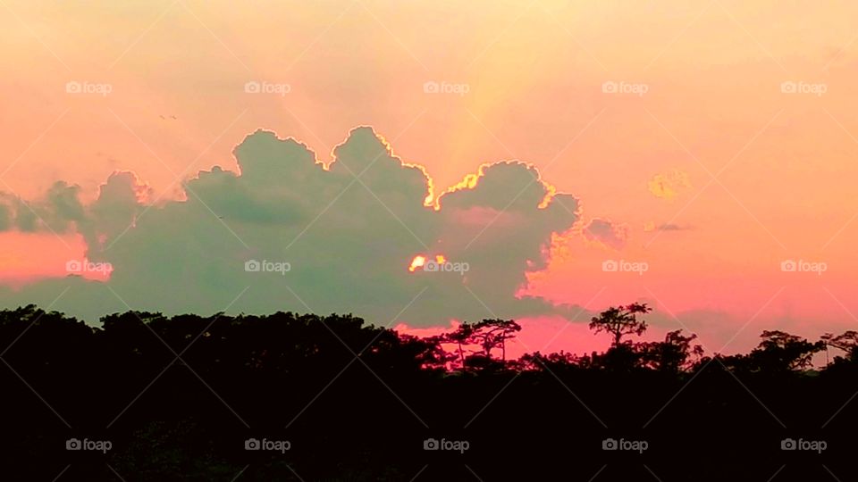 incredible sunset with pink and orange in the sky in the clouds helping to create sun rays with some visible trees. Southeast Texas United States of America 2017