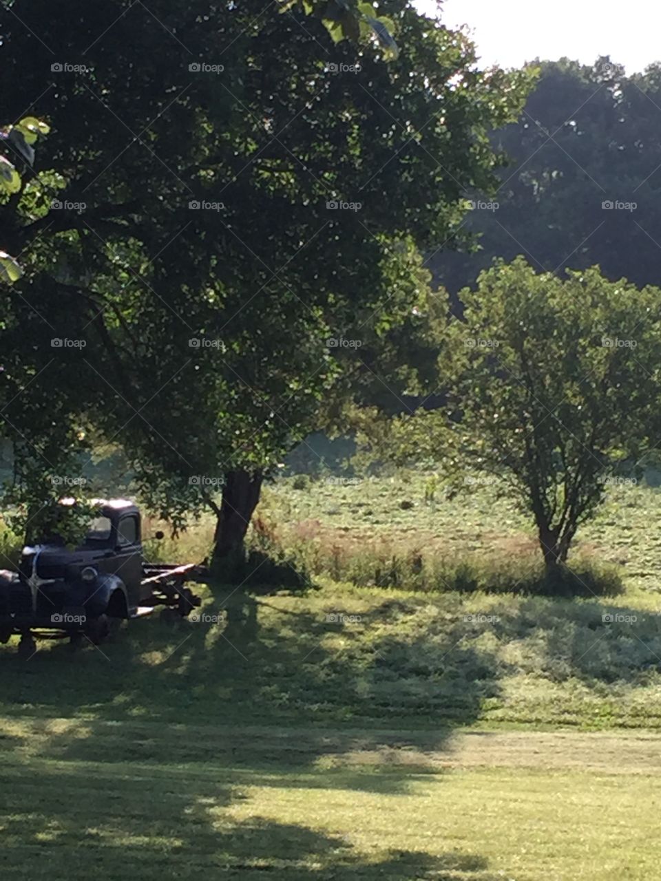 Antique Farm Truck 