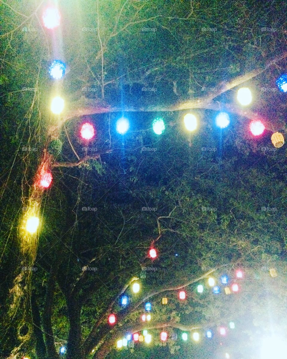 Christmas Light Everywhere 😍