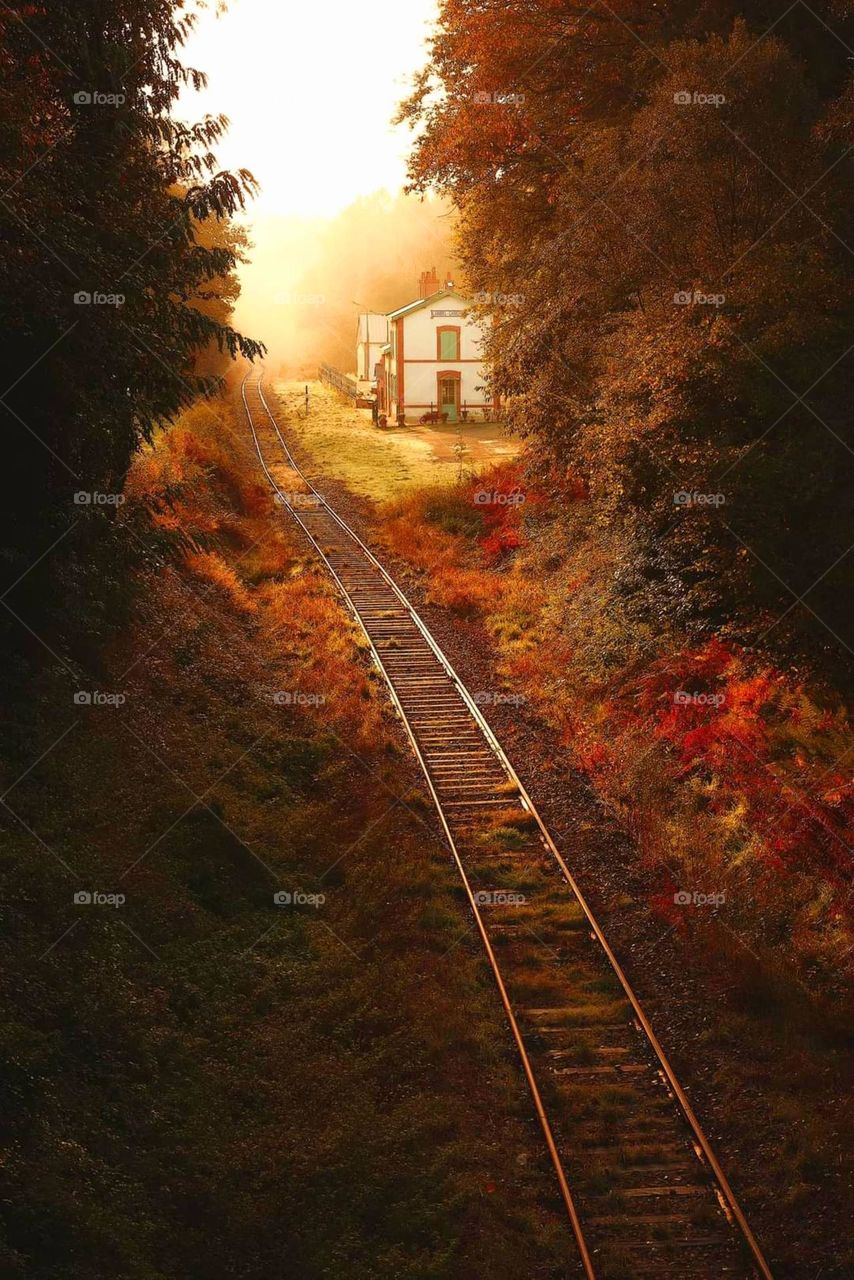 The railway and station of Lambel lined with trees and bushes dressed in their autumn colours