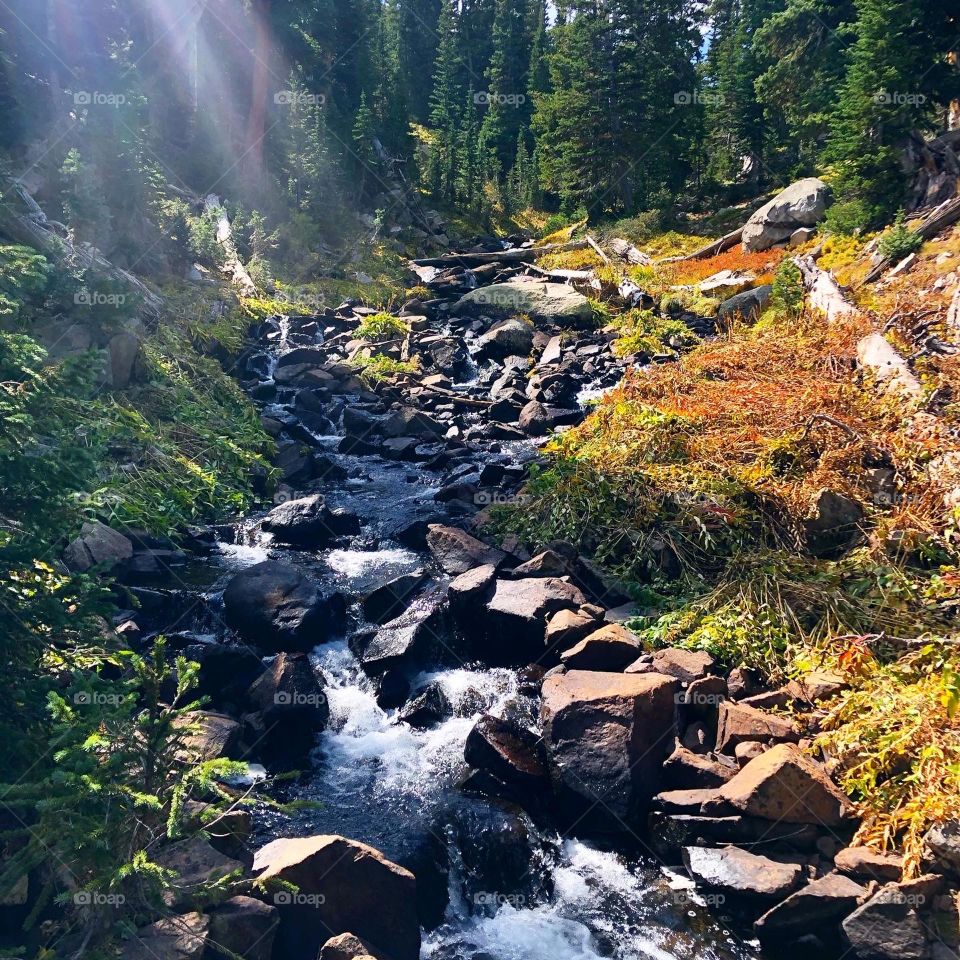 Summertime creeping in