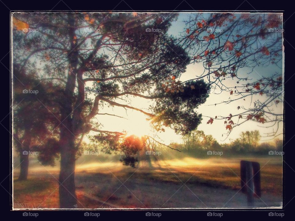 illuminating sunrays