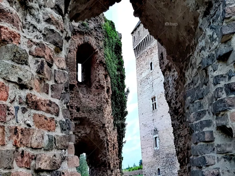 Fortress