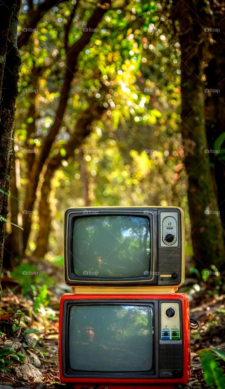 so old version tv put on jungle both tv for un use and garbage item so adjust and put on jungle