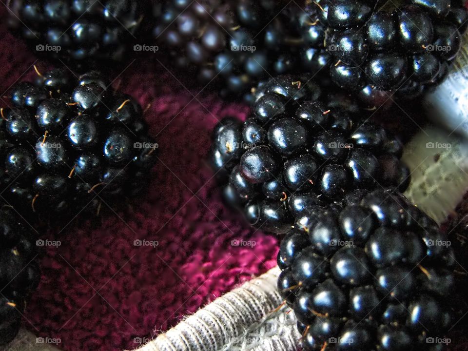 Blackberries from the garden