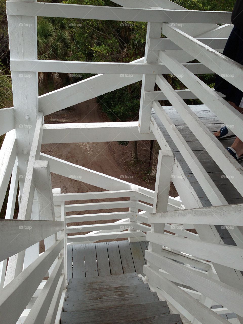 Aerial view of the woods from the old wooden fire tower.