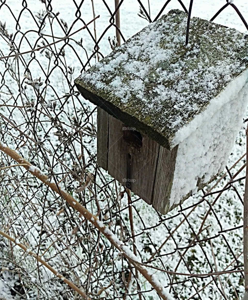 birdhouse during a spring snow